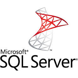 Seattle Tacoma SQL Server Crm Programmer